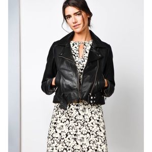 Black leather jacket. MINT cond. Never worn.